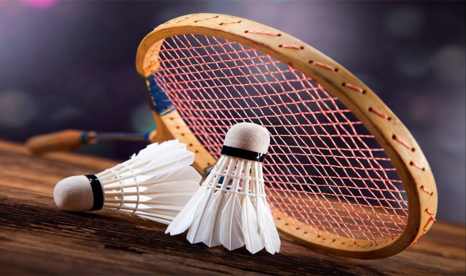 他们不仅仅 他们不仅仅