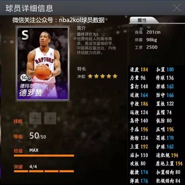 團隊的整體