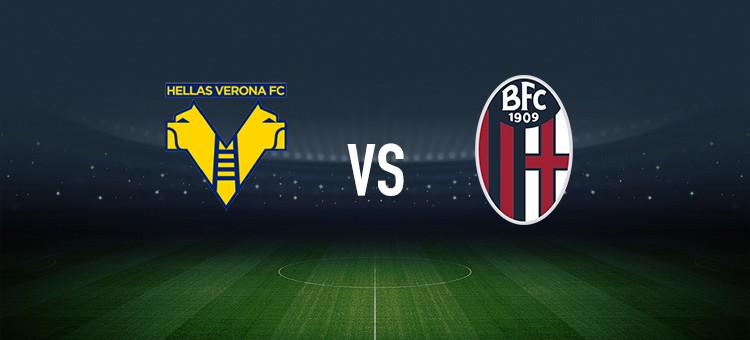 团队协作 团队协作