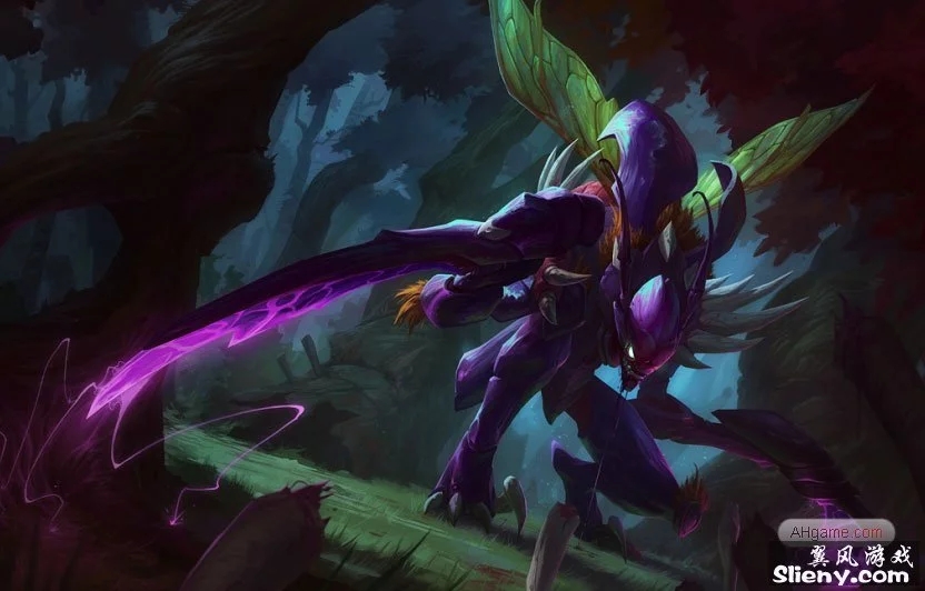 后卫位置 后卫位置