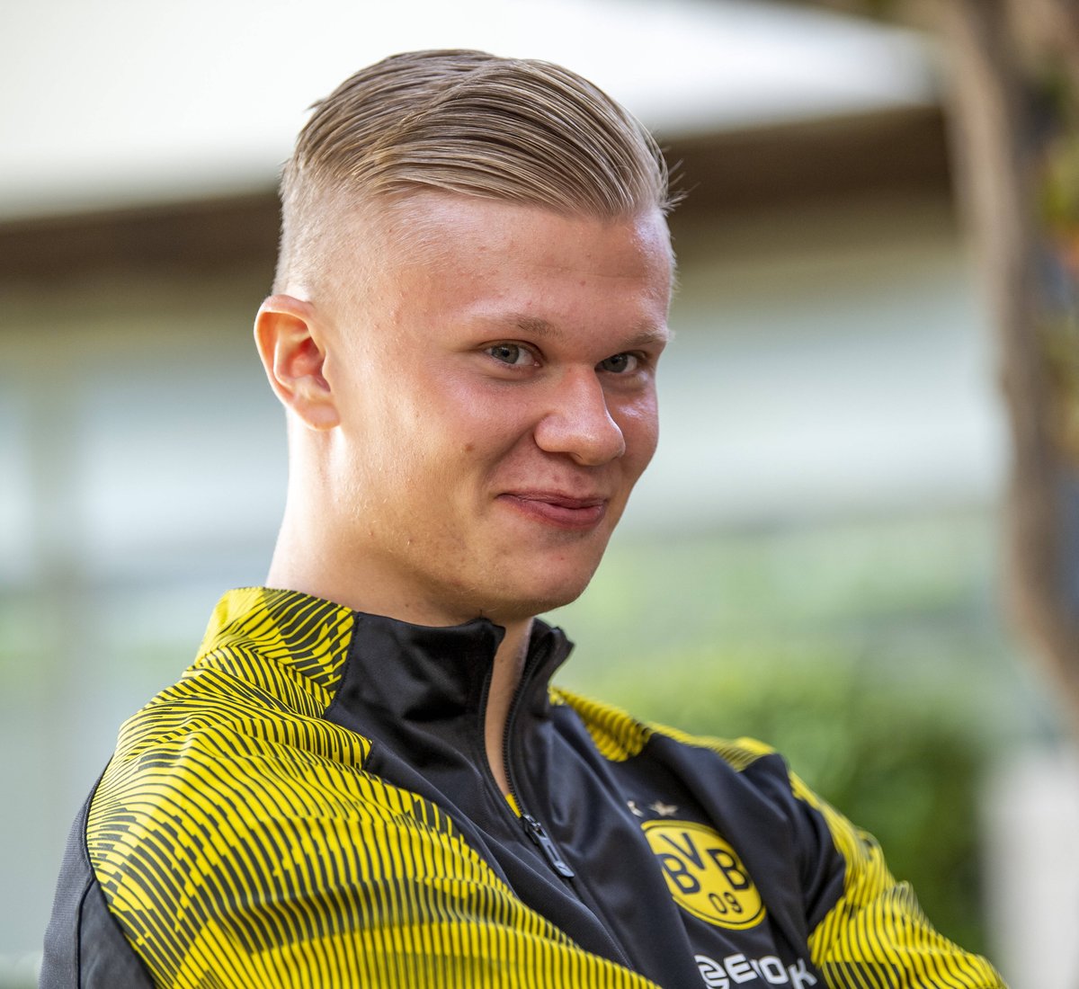 的叙事化呈 的叙事化呈