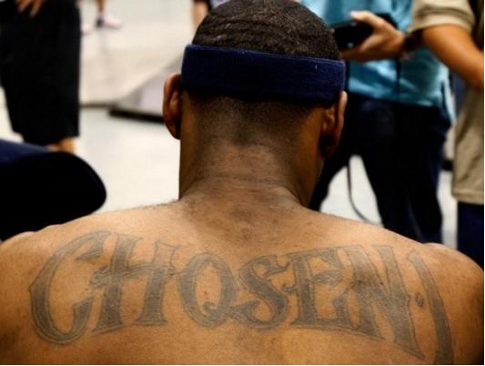 指挥在读到 指挥在读到